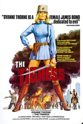 葫芦岛seo优化哪家好